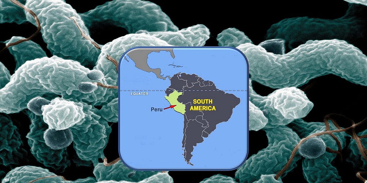 Latin-amerikai orszg vszhelyzetet hirdetett ritka betegsg miatt