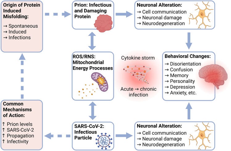 The Spike Protein and Systemic Prion Disease: RBD Prion-Like Domain ...