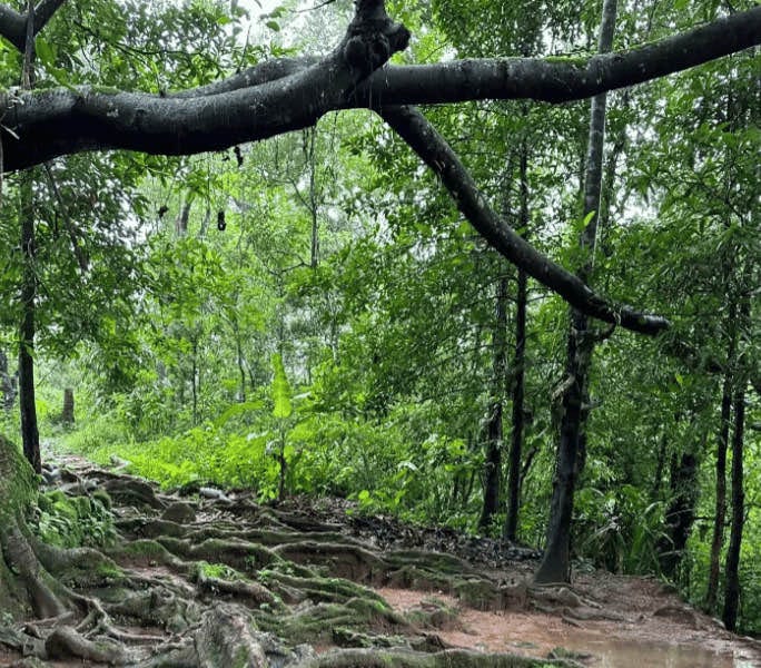 10/23/24 So villains really don’t realise they’re evil.