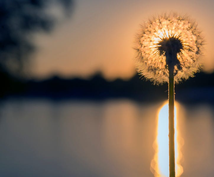 Harnessing The Power Of Visualization