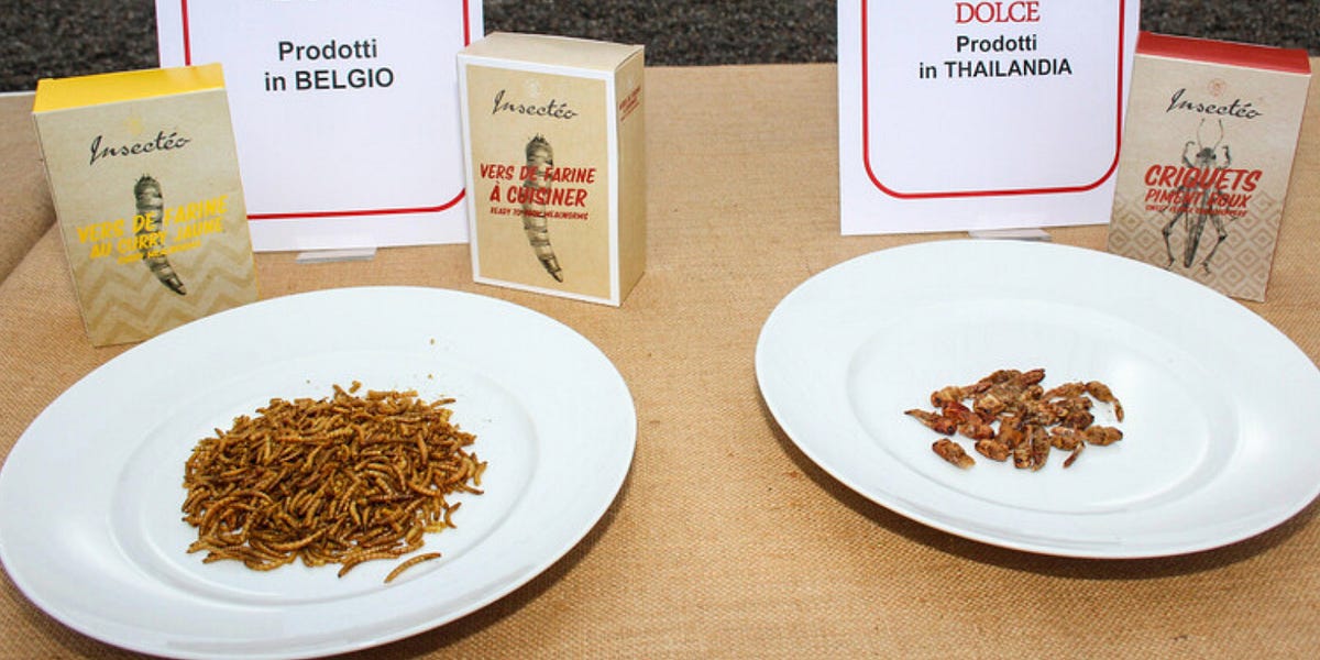 Global News Round-up: Let them Eat Bugs