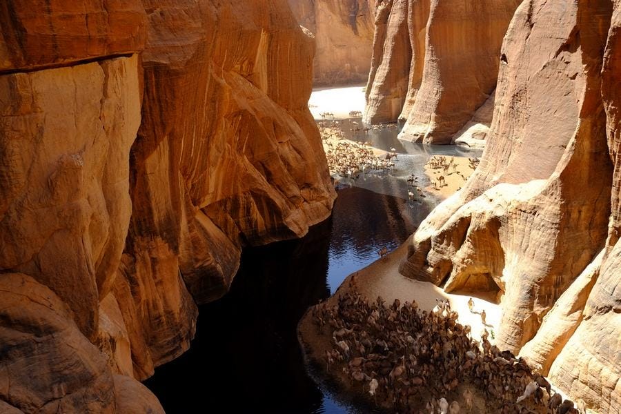 Lost Green Saharans: ancient DNA unearths a new race from a verdant North African interlude