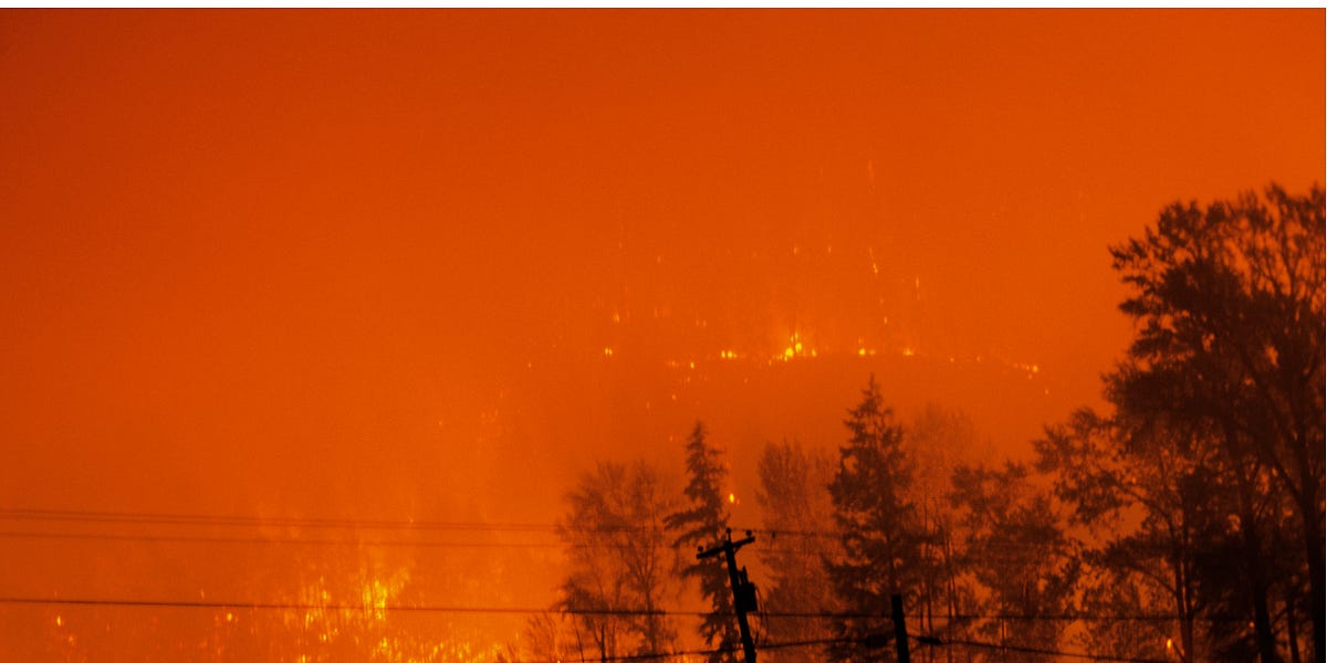 Were the Fires Last Summer Deliberately Set?