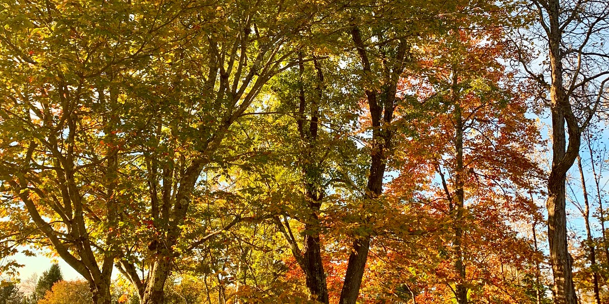 Haiku Wednesday • 1 G.T. Simonson