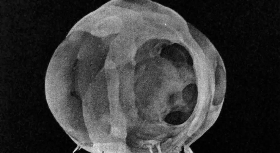 A scientist who disarmed an atomic bomb twice