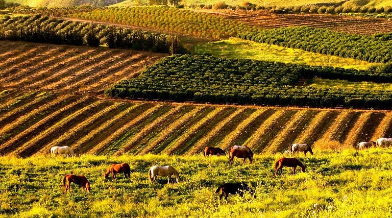 One Question For Everyone Anti-Israel…