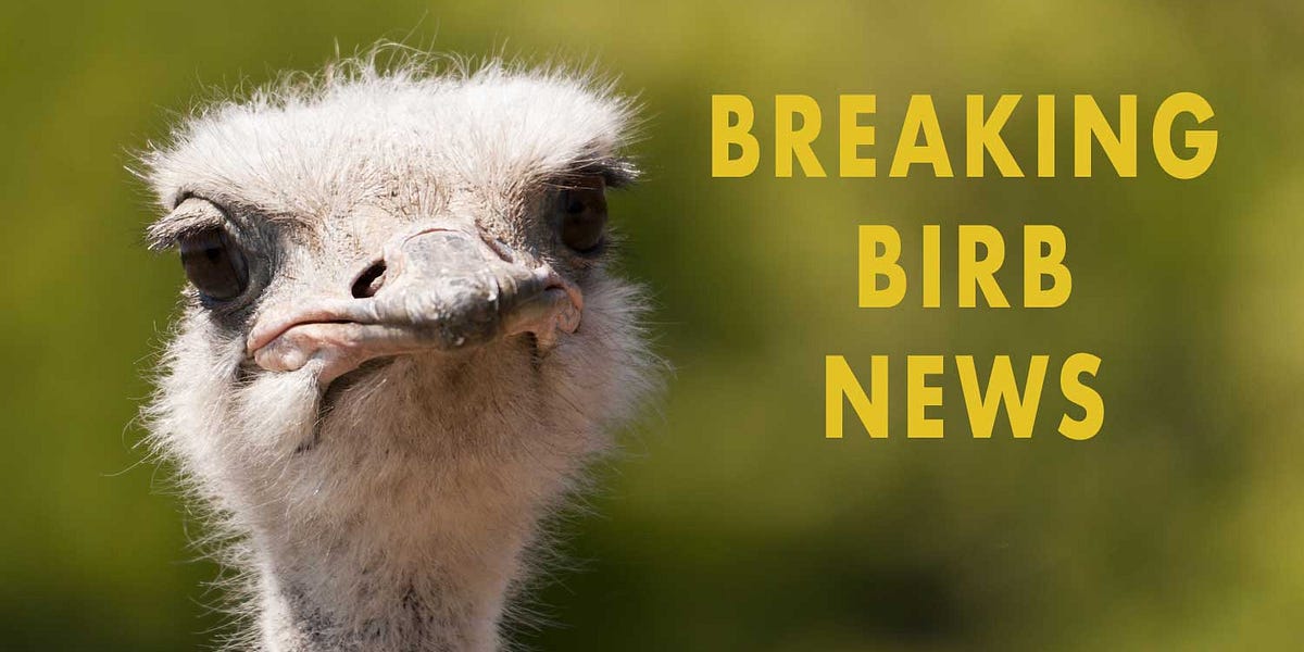 Bird-filled version of Nelly Furtado's 