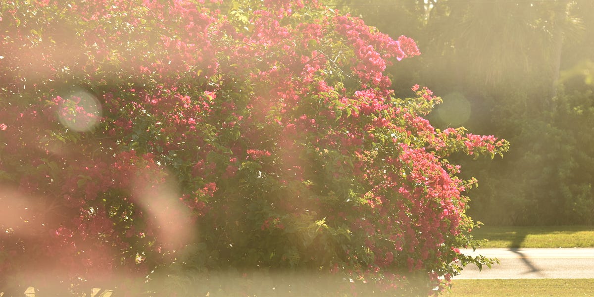 Why Tone Matters Degration of FanFiction by myliann