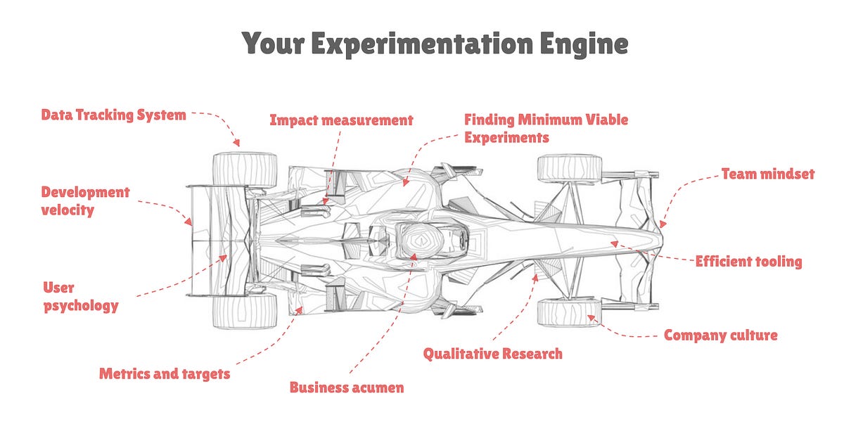The Data Informed Experimentation System