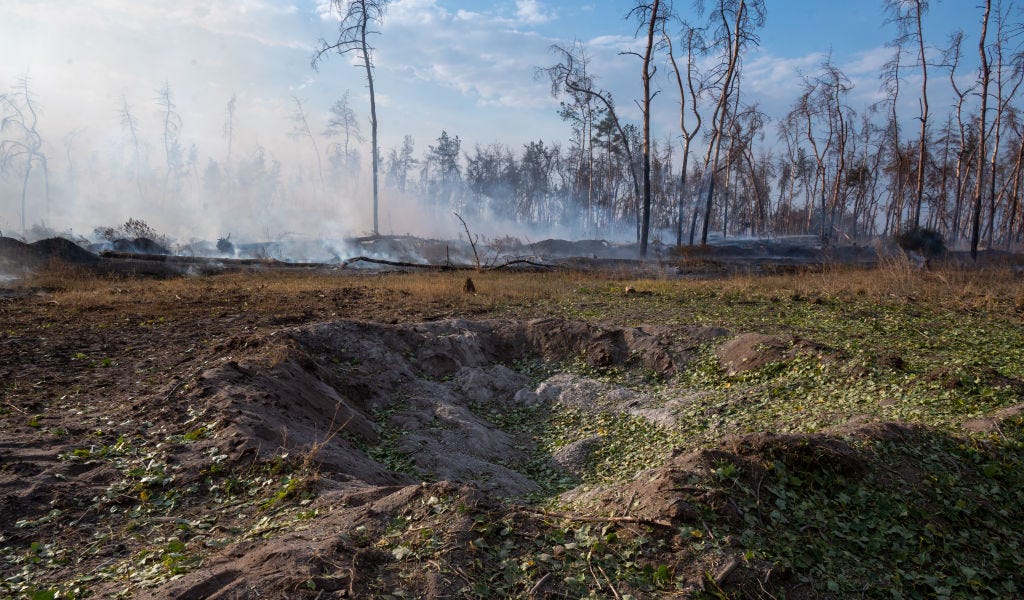 Myanmar Celebrates Renewal Amid Crisis; Ukraine Faces $20B Agricultural Challenge