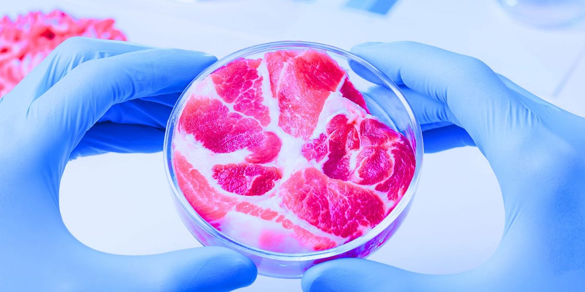 Mississippi Bans Lab-Grown Meat Linked to Cancer-Causing Oncogenes