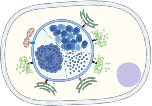 Just like this humble blogger predicted, more people now talk about parasites