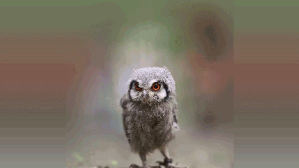 Don’t Let The Door Hit You In Elon Musk’s Ass! Tabs, Fri., May 30, 2025