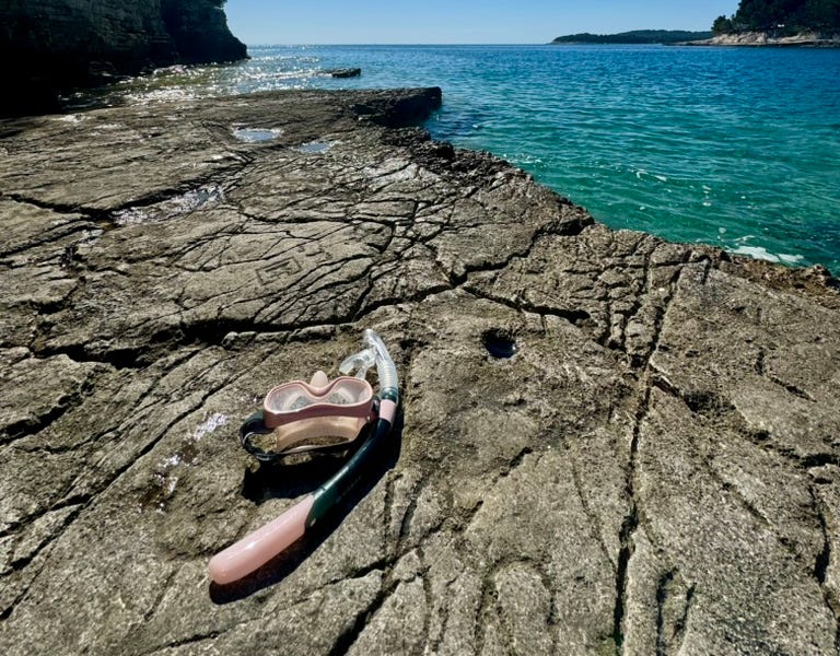 The Wrong Life Path by Millennial Journal