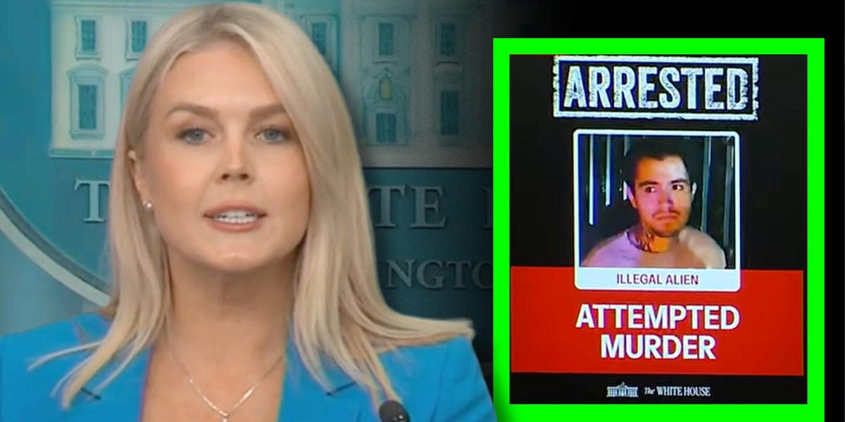 This Is Not a Peaceful Protest: Leavitt Dismantles Media&rsquo;s Riot Narrative at the White House