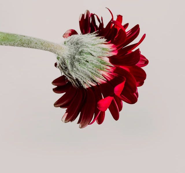 Is Love Being Served?