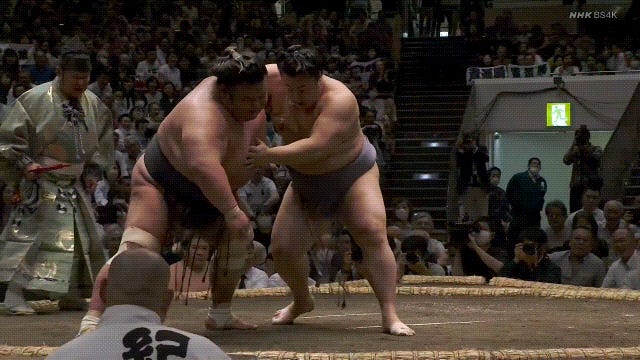 Terunofuji Powerlifting Training : r/Sumo