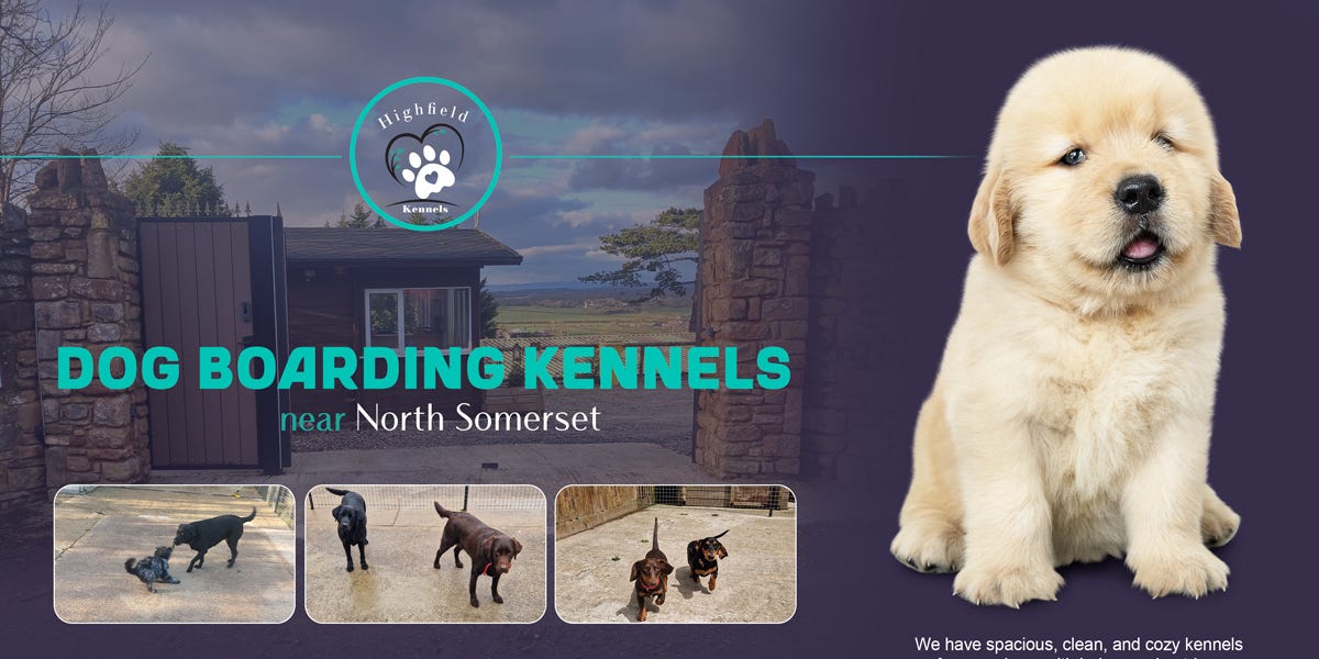 Reliable Dog Boarding Kennels near you Choose Wisely