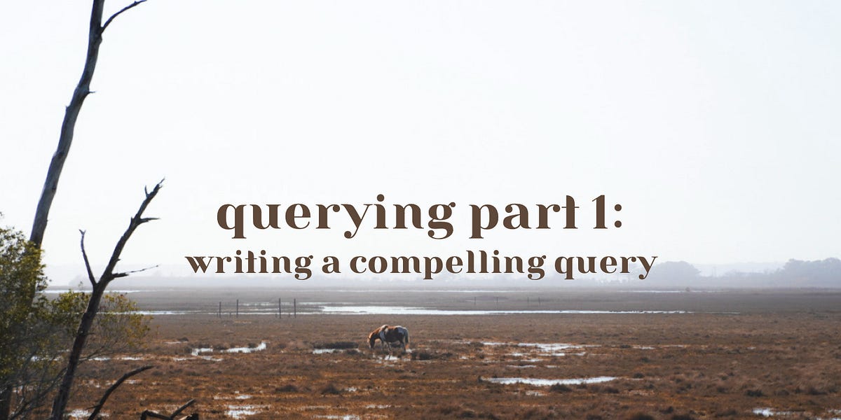 querying part 1: writing a compelling query - by Thea Liu