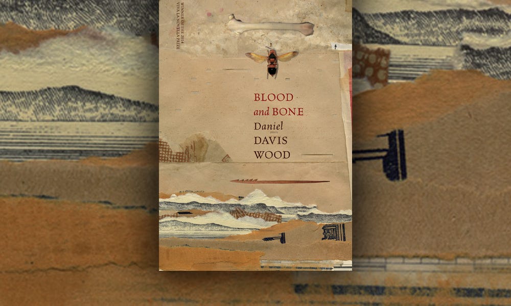 Blood and Bone by Daniel Davis Wood Infinite Patience