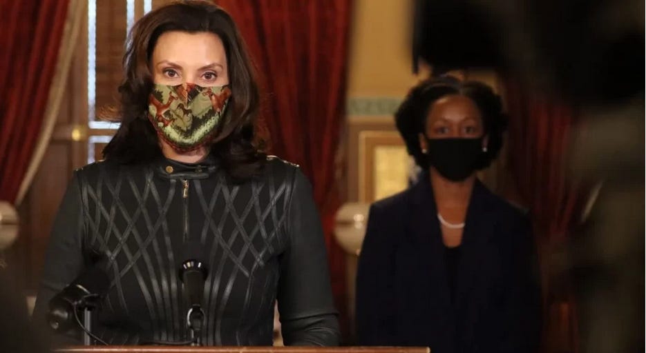 The 'BIRD FLU' PSYOP: Gretchen Whitmer Admin Issues Emergency Executive Order Over Avian Influenza