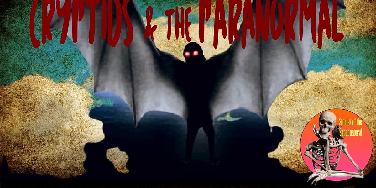 Cryptids and the Paranormal | Interview with Al Santariga | Podcast