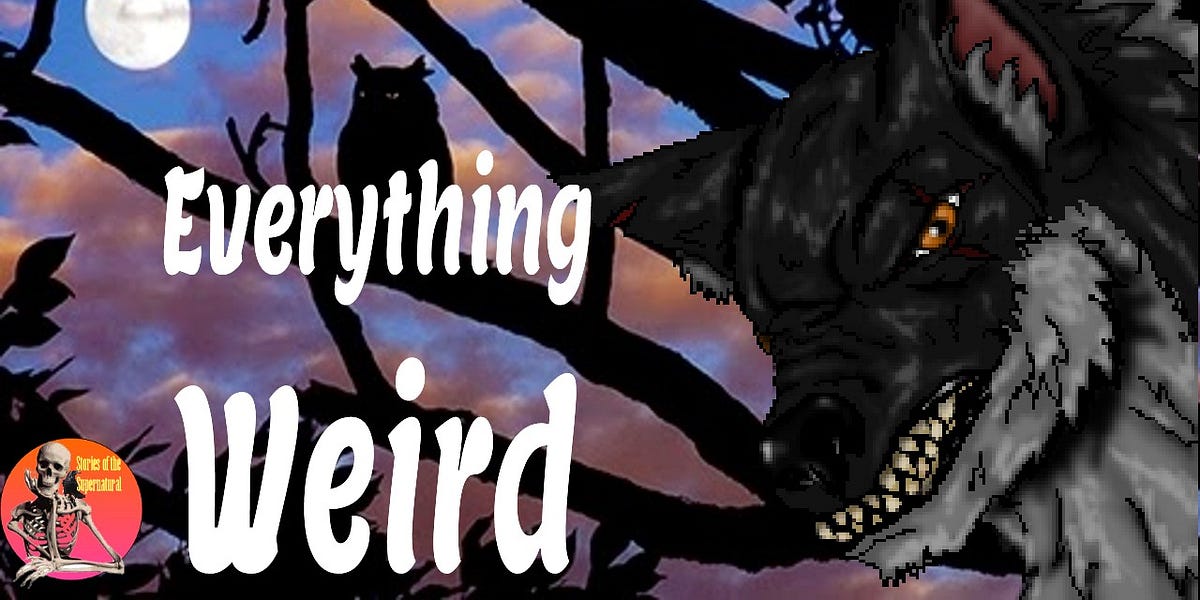 Everything Weird | Interview with Dave Spinks | Podcast