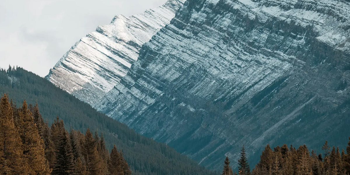 The Windshield is Bigger Than the Rearview Mirror for a Reason