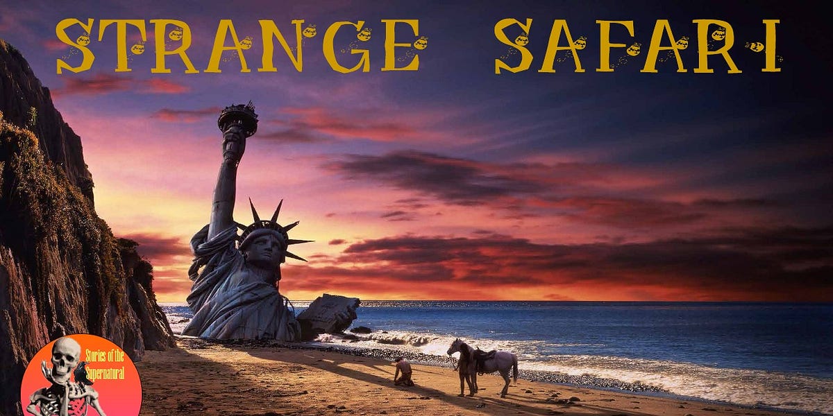 Strange Safari | Interview with Allan Pacheco | Podcast