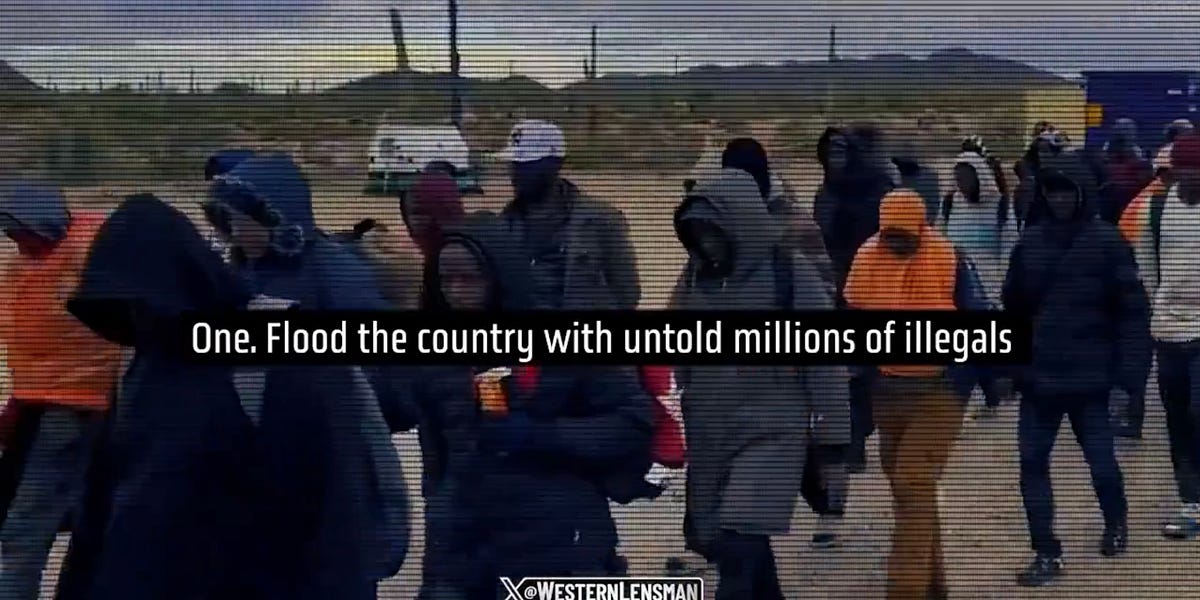 More evidence millions of invaders will be handed guns to steal homes