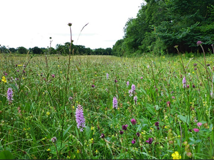 Getting centered by Anna K Brozek Oak Park Bodywork