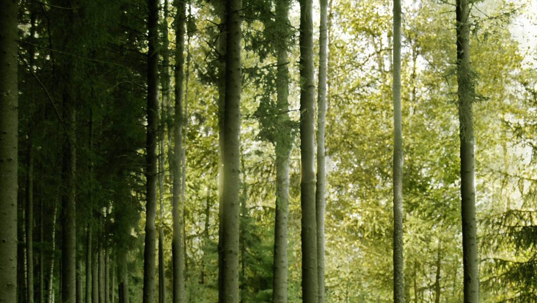 Loving Kindness by Anna K Brozek Oak Park Bodywork