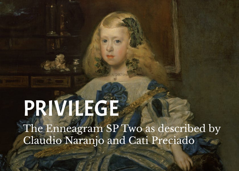 Privilege and the Self Preservation Two by Nick Barr