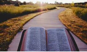 Isaiah 27-28