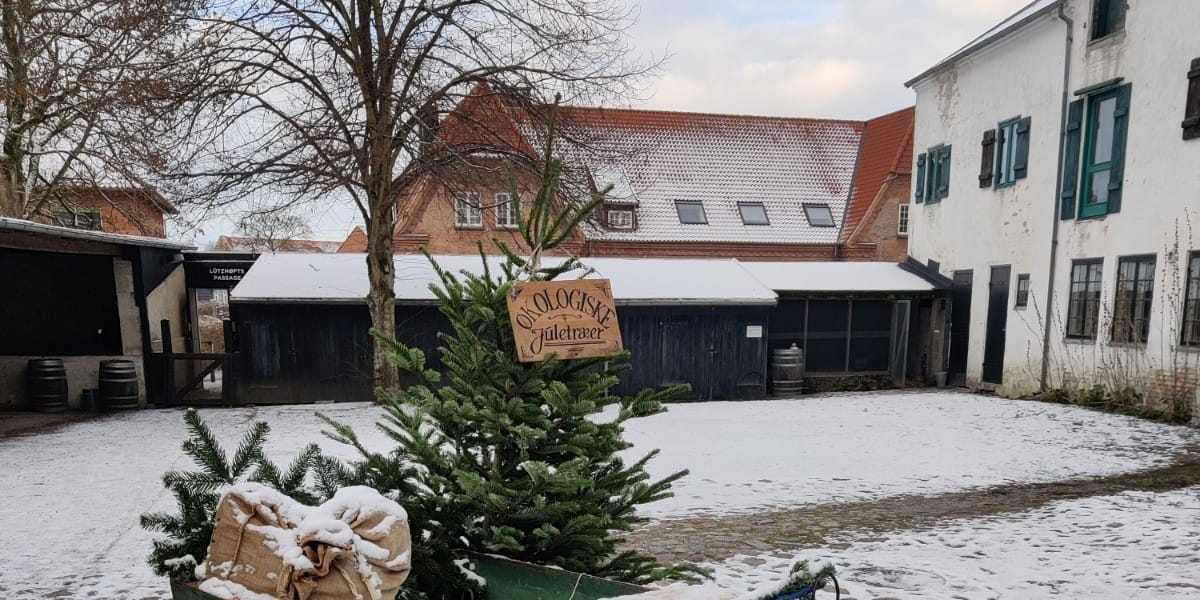 All Things Nordic 'Xmas' #16 - by Ignorelands