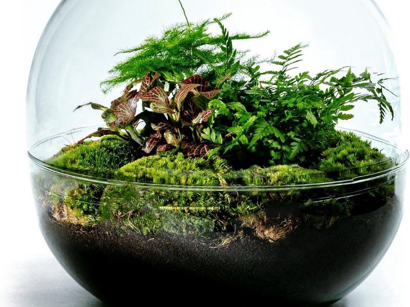 The immutable framework definition makes it impossible to criticize Scrum