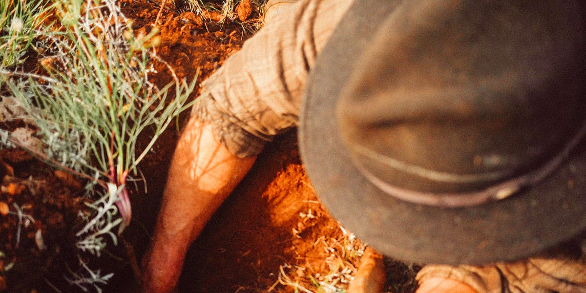 What does it mean to be truly a roaming herd of amorphous group think