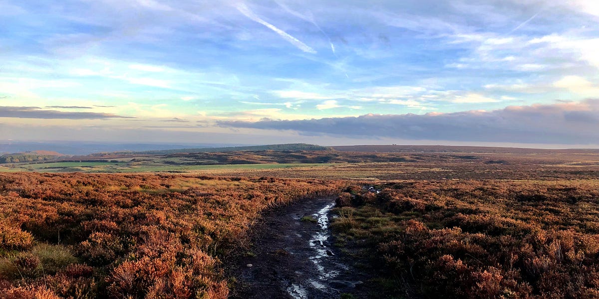 Why Mud's Good - by David Bocking