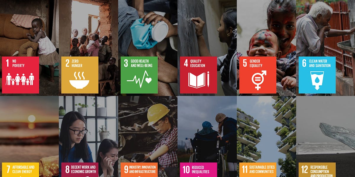 Understanding the United Nations Sustainable Development Goals & How ...