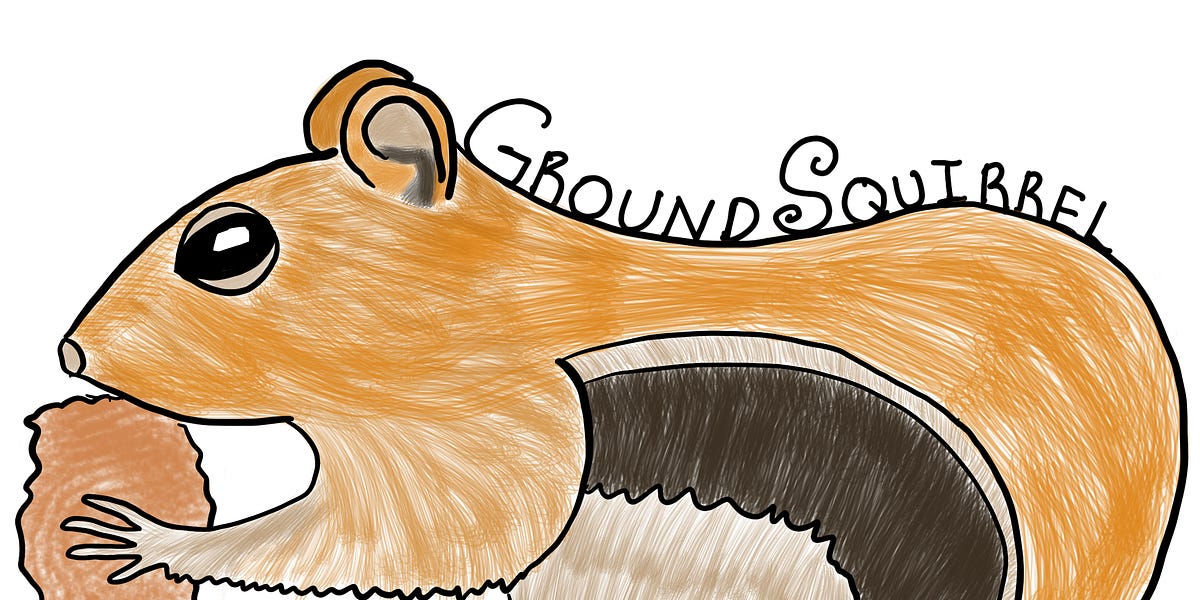 137 (Some) Squirrels* by Bix Colorado Wildlife