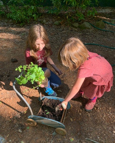 Belle shop wheelbarrow amazon