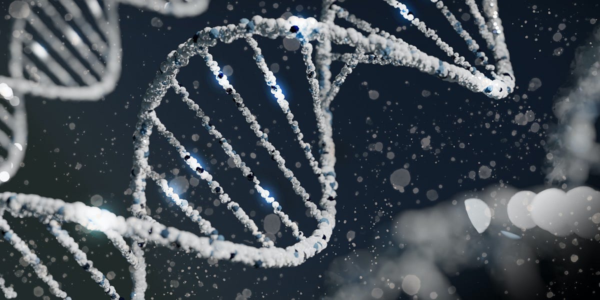 Can Trauma Really Be Passed Down to Future Generations Through