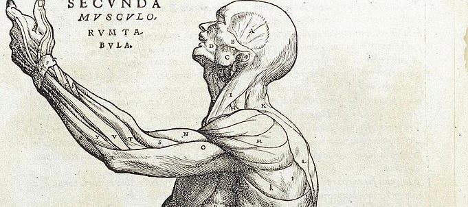 Shoulder Pain and Your Physical Autonomy.