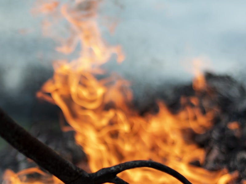 Everybody’s chill when you first join the Church of Satan, then the