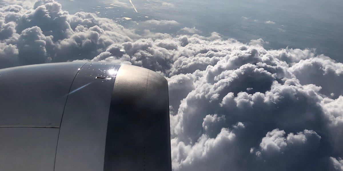 What does freedom feel like? by Laura Varga