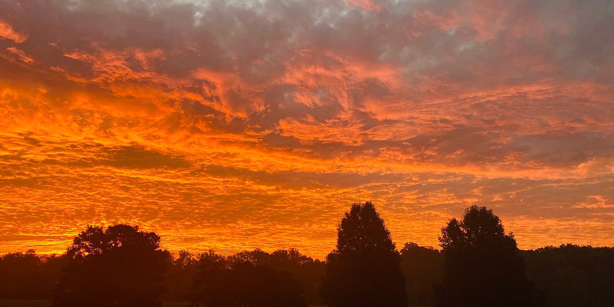 HOLDING THE BAG by Brooke Miller M D