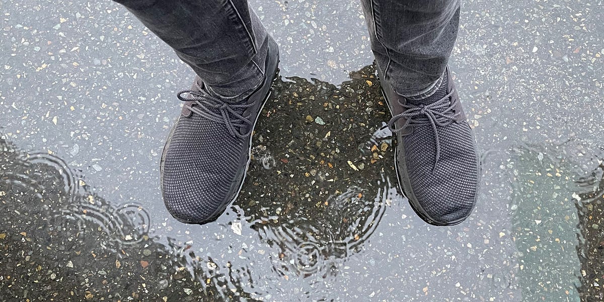 Vessi footwear amazon new arrivals