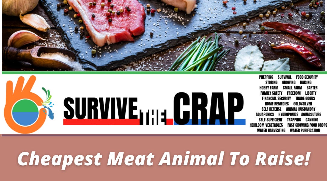 What Is The Cheapest Meat Animal To Raise Yourself? Pound For Pound Comparisons