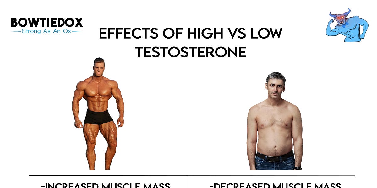 How To Naturally Boost Your Testosterone Levels 7530