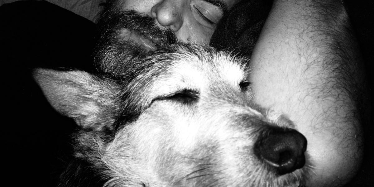Sometimes You Just Need A Nap By Jeff Plankenhorn sometimes-you-just-need-a-nap-by-jeff-plankenhorn